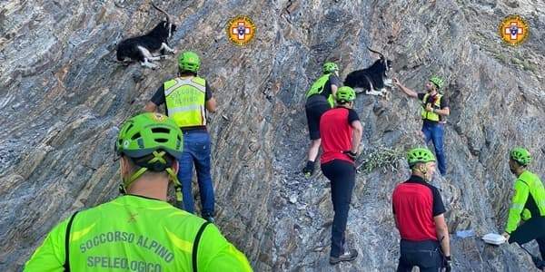 Soccorso Alpino salva caprone sulla scogliera delle Cinque Terre