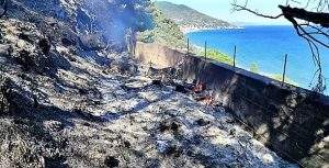 Incendio 0 Laigueglia il giorno dopo