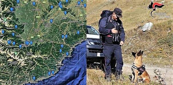 Bocconi avvelenati nel savonese, all’opera 13 unità cinofile dei Forestali