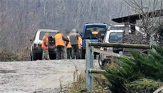 Liguria cambia il regolamento di caccia al cinghiale