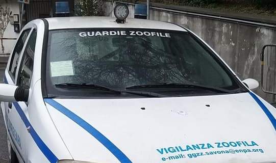 Guardie zoofile: un amico non si regala si sceglie