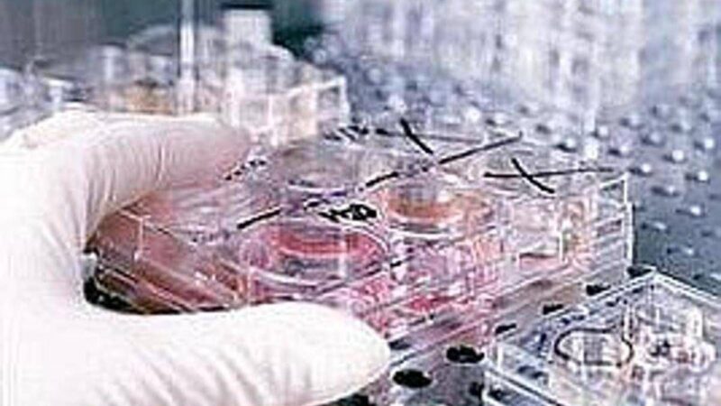 Fecondazione, non solo endometriosi: il nuovo protocllo che combatte l’adenomiosi