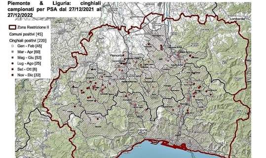 Peste suina, ancora tre nuovi casi, il 1° a Cartosio, 11° a Ponzone