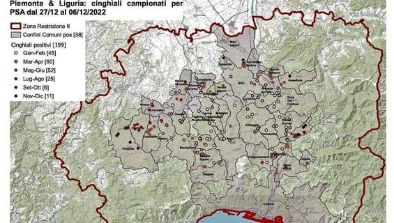 Peste suina africana, altri due casi di cui uno a Ponzone