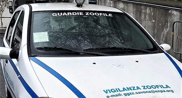 Savona, un anno di attività delle guardie zoofile volontarie