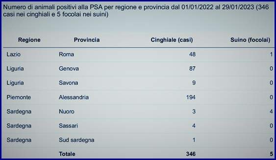 Peste suina, otto nuovi casi tra Liguria e Piemonte