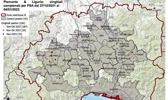 Peste suina in Liguria compie un anno, per favore niente torta