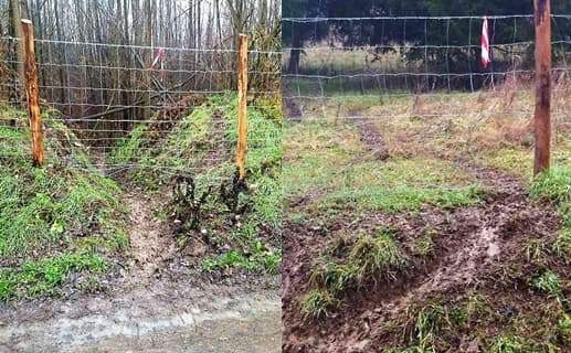 Cosa pensa il sindaco di Sassello dopo il 3° cinghiale contagiato