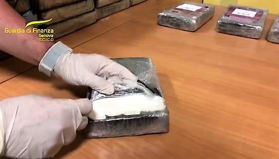 Aggiornamento operazione antidroga in corso a Genova, Roma, Reggio Calabria