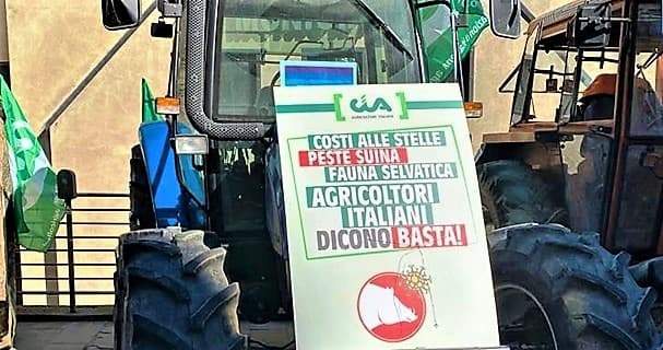 Cia Liguria: Inquietanti i casi di peste suina a Sassello. Risposte immediate