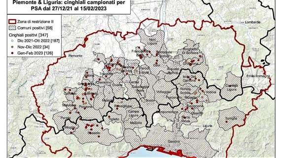 I cinghiali si abbattono da soli. Peste suina: 8 casi di cui 4 a Sassello