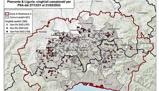 Peste suina ormai fuori controllo, 17 nuovi casi positivi