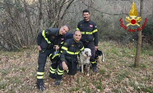 Cane in una scarpata da due giorni, salvato dai Vigili del fuoco di Genova