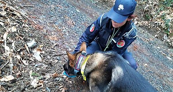 Nuclei cinofili dei carabinieri alla ricerca di veleni nel Parco delle Cinque Terre