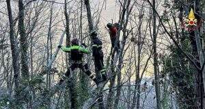 Parapendio 2 sugli alberi in Vallefredda a Chiavari