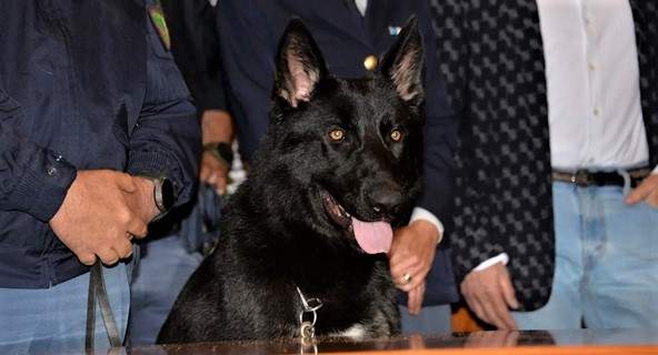 Almo Nature ultimo arrivato per donazione alla Polizia di Stato Genova