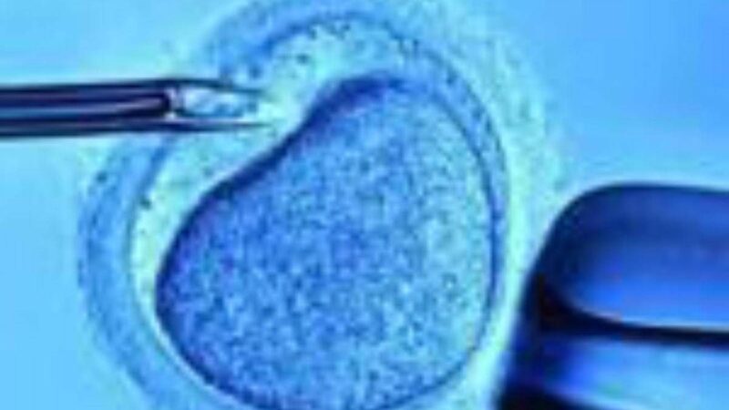 Fecondazione, mamme senza bombe ormonali con meno rischi aborto: ‘svolta per over 40’
