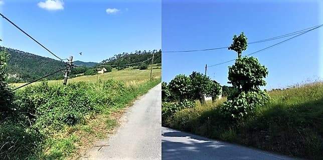 Sassello passeggiate dove uomo e natura si sorreggono