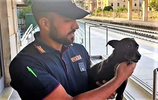 In vacanza a Chiavari gli fugge il cane, ritrovato dalla Polizia ferroviaria