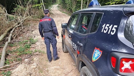 Carabinieri Forestale interventi a Sassello, Pontinvrea, Calice, Val Bormida