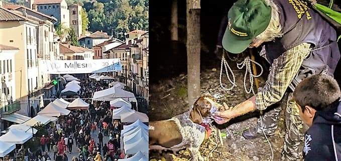 La notte in bianco dentro la Festa nazionale tartufo Val Bormida