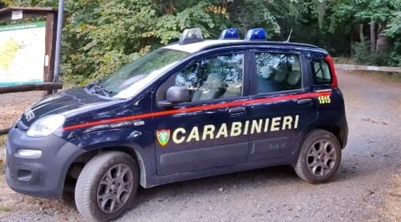 Savona scoperto traffico illecito di cani da caccia in Liguria e Piemonte
