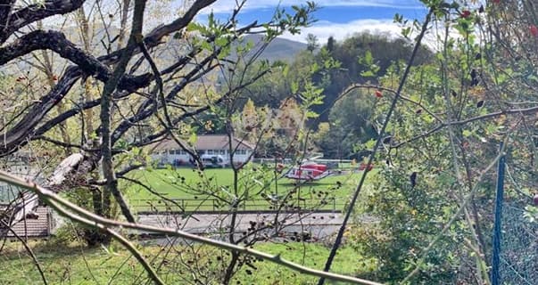 Sassello 59enne punto da calabrone, interviene elisoccorso Drago ma rifiuta il trasporto