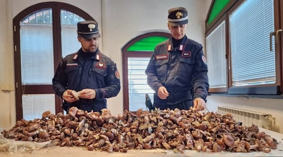 Beccato nel Parco delle Cinque Terre con 30 kg. di funghi, sanzionato