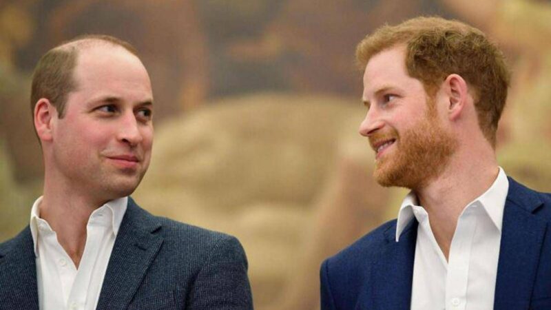 “La riconciliazione fra William e Harry? Solo alla morte del re”: l’indiscrezione