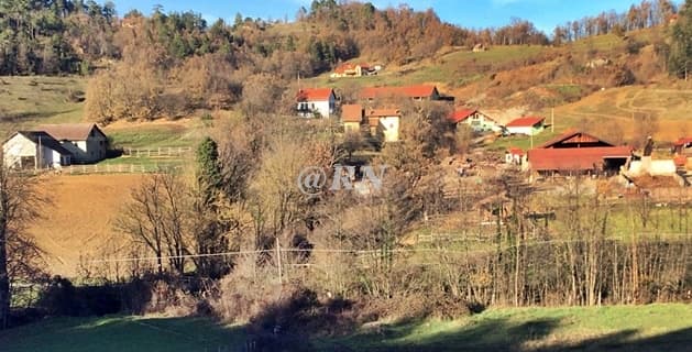 Sbranato un cane a Sassello, l’emergenza lupi è un problema sociale