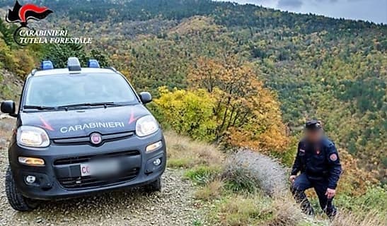 Cane colpito gravemente dal dardo di balestra nel Ponente ligure, un denunciato