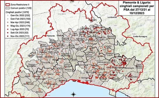 Peste suina tra Liguria e Piemonte sono 1079 le positività accertate