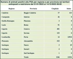 Peste suina in Italia