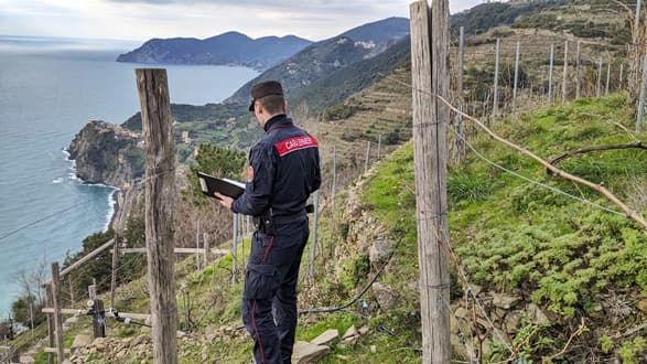 Vini di origine protetta controllati nel Parco delle Cinque Terre