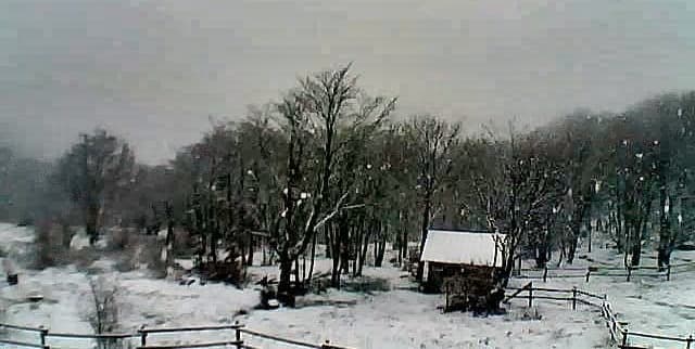 Neve sul Beigua e Passo del Faiallo, pioggia e neve a Sassello e Urbe