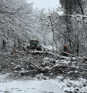 Sassello albero caduto a Piampaludo