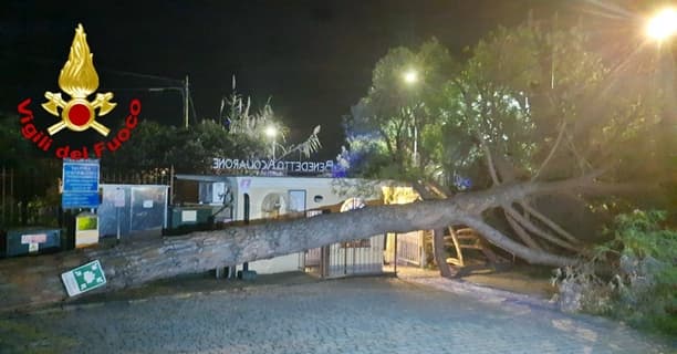 Caduta albero abbatte cancello del centro Acquarone di Chiavari