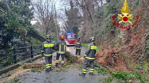 Cade un albero in via Sant’Alberto a Sestri Ponente