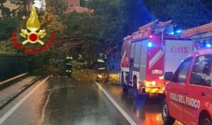 Liguria caduta alberi 1