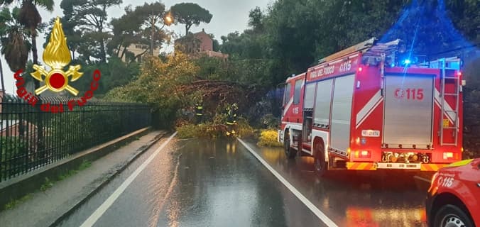 Pioggia intensa sulla Liguria, frane e caduta alberi, Vigili del fuoco in azione