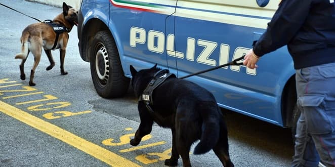 Controlli straordinari della Polizia di Stato nei quartieri genovesi