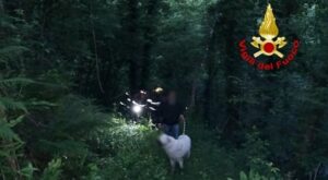 Genova finiscono in un torrente con auto