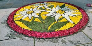 Cuneo infioratori Sassello 2024 5