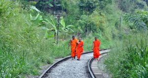 Geco in viaggio 2 29