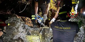 Salvato un bovino a Genova Sestri Ponente 3