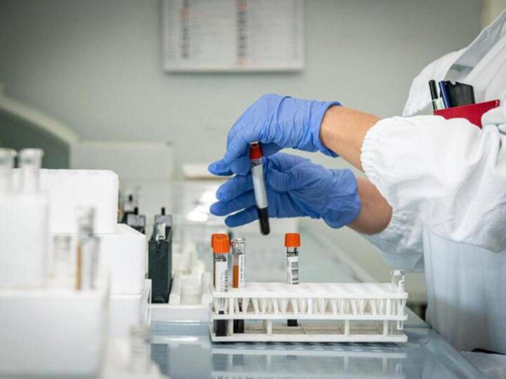 Echinococcosi alveolare, in Europa 4.200 casi: cos’è e da cosa deriva
