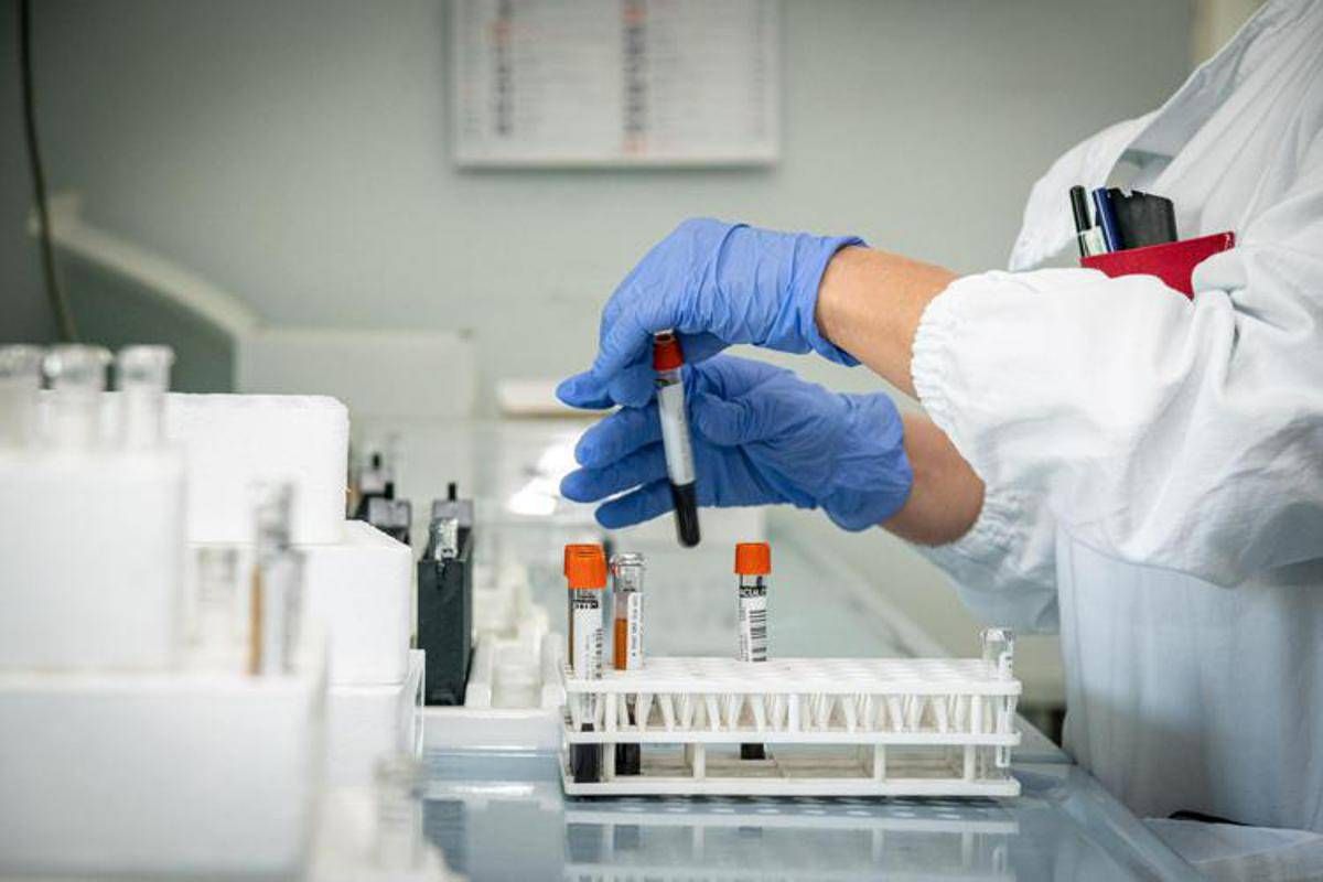Echinococcosi alveolare, in Europa 4.200 casi: cos’è e da cosa deriva