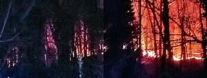Incendio Alpicella 78