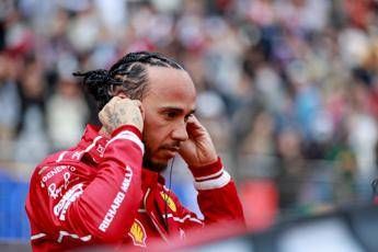 Hamilton e la marmotta investita: “Sono devastato, io amo gli animali”