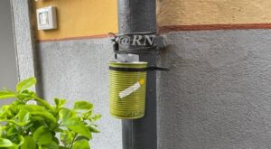 Ads portacicche pulizia e decoro 3